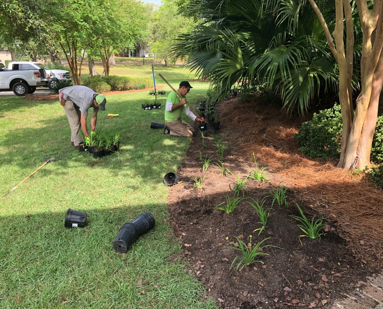 An Edrington Greenscapes crew member planting a fresh bed on a Gulf Coast property