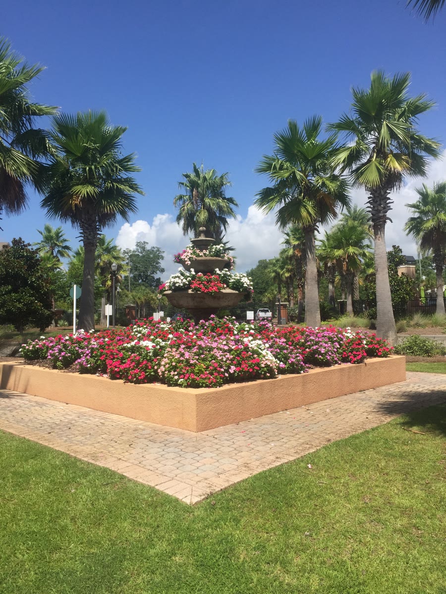 Colorful annual flower beds and palms at a Gulf Coast property