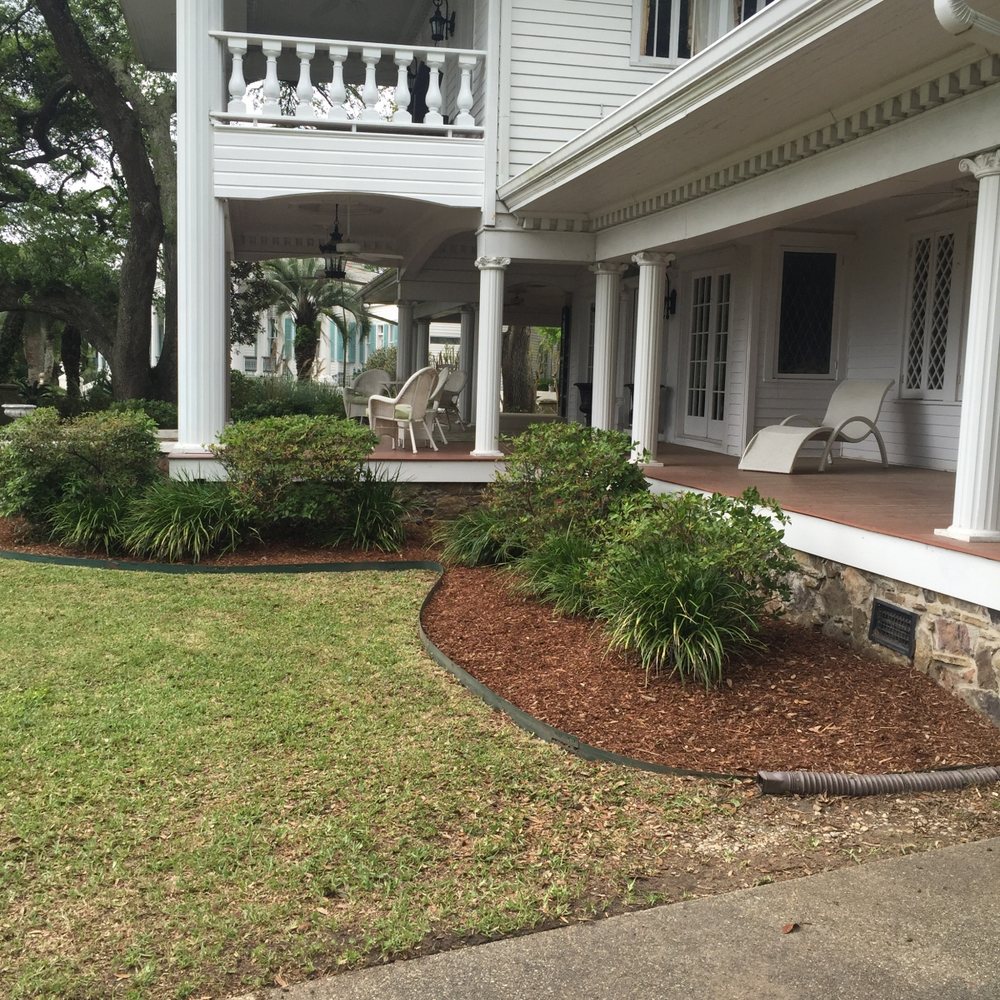 A flagstone path through a shaded, planted garden